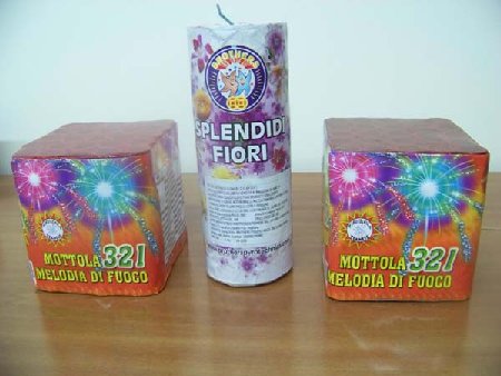 2 Melodia di Fuoco e Splendidi Fiori_1.jpg